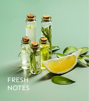 Fresh Notes
